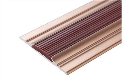 Threshold Transition Strip