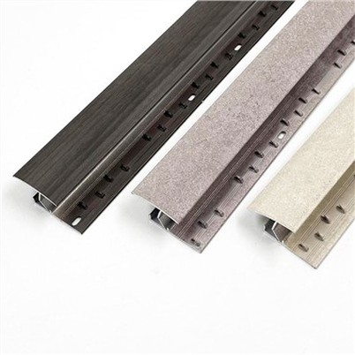 Aluminium Carpet Edging Strips