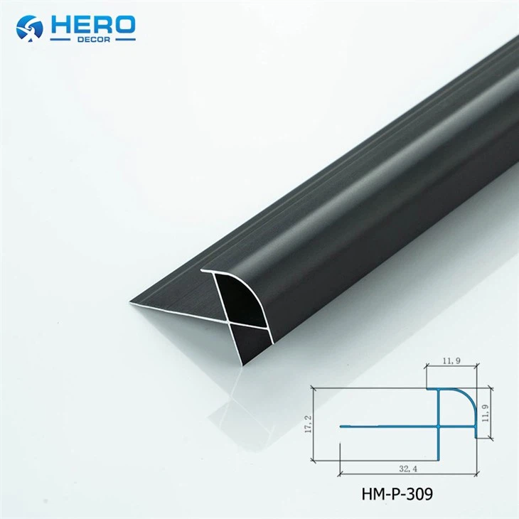 HM-P-309 (2)